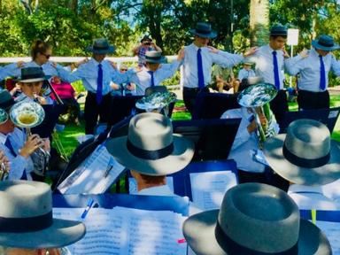 Engage with the local community at Bracken Ridge with live music from the Brisbane Brass Music Association conducted by ...