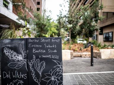 Come and visit a micro-forest in the heart of Haymarket- made of native species including the critically endangered east...