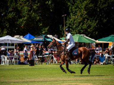 Experience exhilarating live polo set against the backdrop of one of Australia's most recognisable and applauded wine & ...