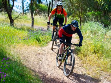 Learn the fundamental mountain biking skills that will act as the building blocks of your development as a rider.Whether...