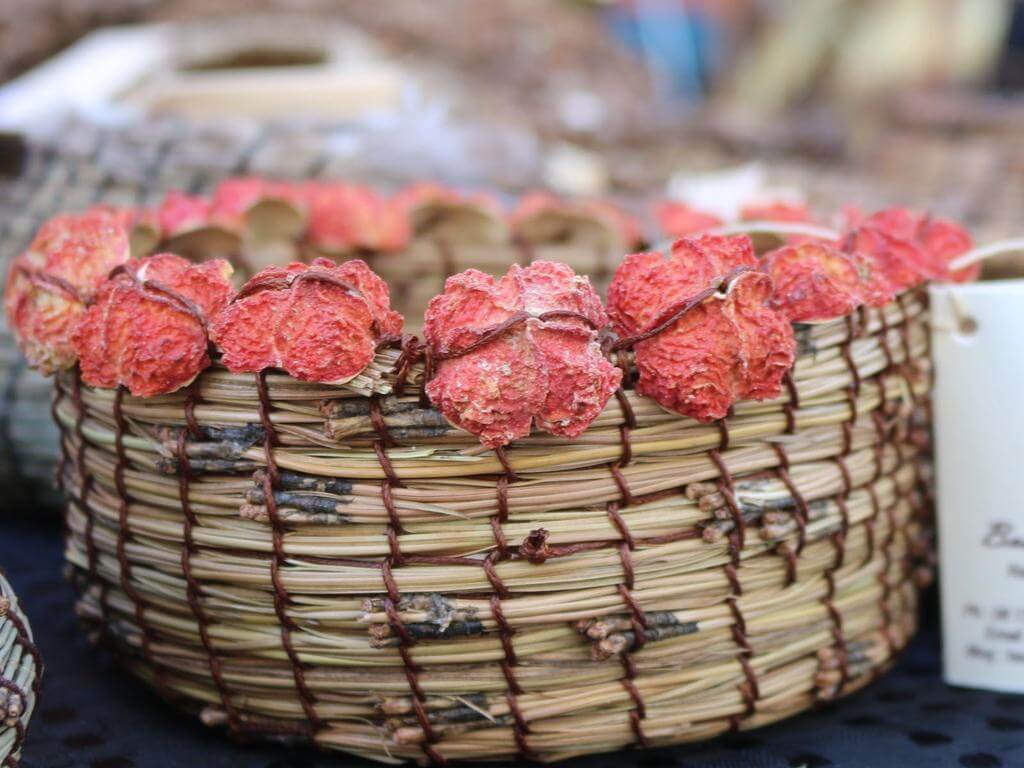 Basketry Stitching with She-oak and Pine Needles creative workshop with Beth Wiley 2023 | Tanunda