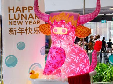Join us in celebrating the Year of the Ox at Central Park Mall- with three giant oxen visiting the centre throughout Feb...