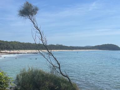 With a key Bible passage to focus on each week, we will immerse in their beauty and messages - bathing and nourishing ou... With a key Bible passage to focus on each week, we will immerse in their beauty and messages - bathing and nourishing ou...