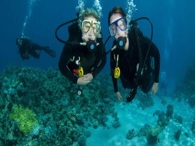 Sydney's Best Rated Scuba Diving Workshop 2020