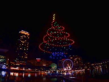 Biggest Christmas Tree Drone Lightshow 2022