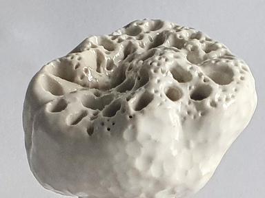 Biome explores marine life and in particular the notion of living ecosystems providing for one another. The ceramic artw...