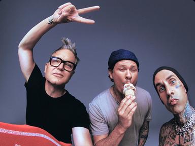 Multi-platinum, award winning group blink-182 have announced their biggest tour ever.