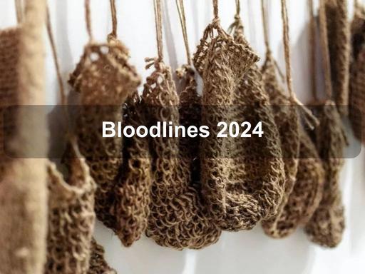 ‘Bloodlines' was created and intended to represent a visual journal entry