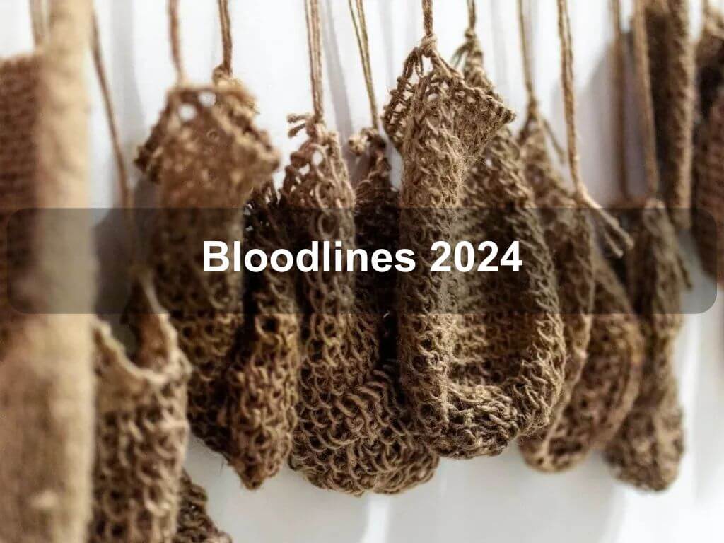 Bloodlines 2024 | What's on in Belconnen