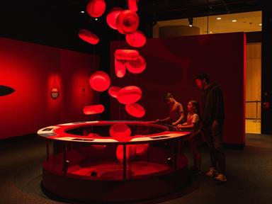 Tickets are now on sale for Bloodsuckers: Nature's Vampires.