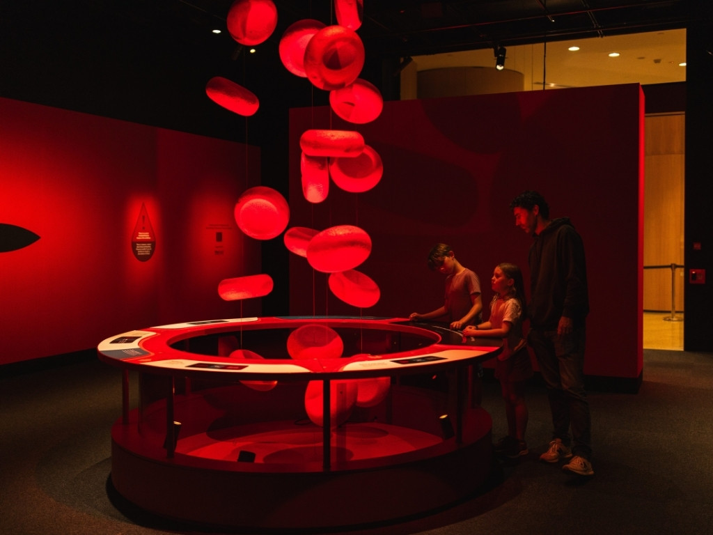 Bloodsuckers Nature's Vampires 2026 | What's on in Sydney