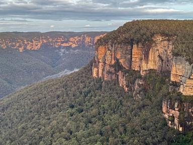 Get ready for an exhilarating full-day birdwatching adventure from sunrise to sunset, exploring Sydney's diverse landsca...