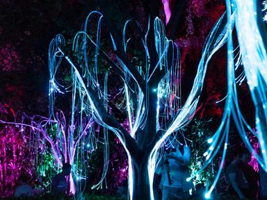 ***This session has booked out***  Brisbane's annual immersive light and sound spectacular returns to share the Parkland...
