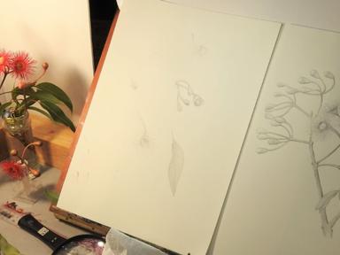 A four-day intensive workshop to build watercolour skills for botanical painting on paper with demonstrations of drawing...