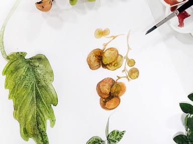 Explore botanical art with the beautifully fluid medium of watercolor in this 2-hour introductory program for students 1...
