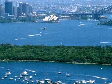 Experience the thrill of the race up close with prime viewing from the sparkling waters of Sydney Harbour. Marvel at the...