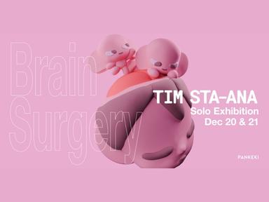 Naarm/Melbourne based artist Tim Sta-Ana and artist platform PANKEKI presents Brain Surgery, Sta-Ana's first major solo art exhibition being held at @14 in Collingwood from December 20th-21st.