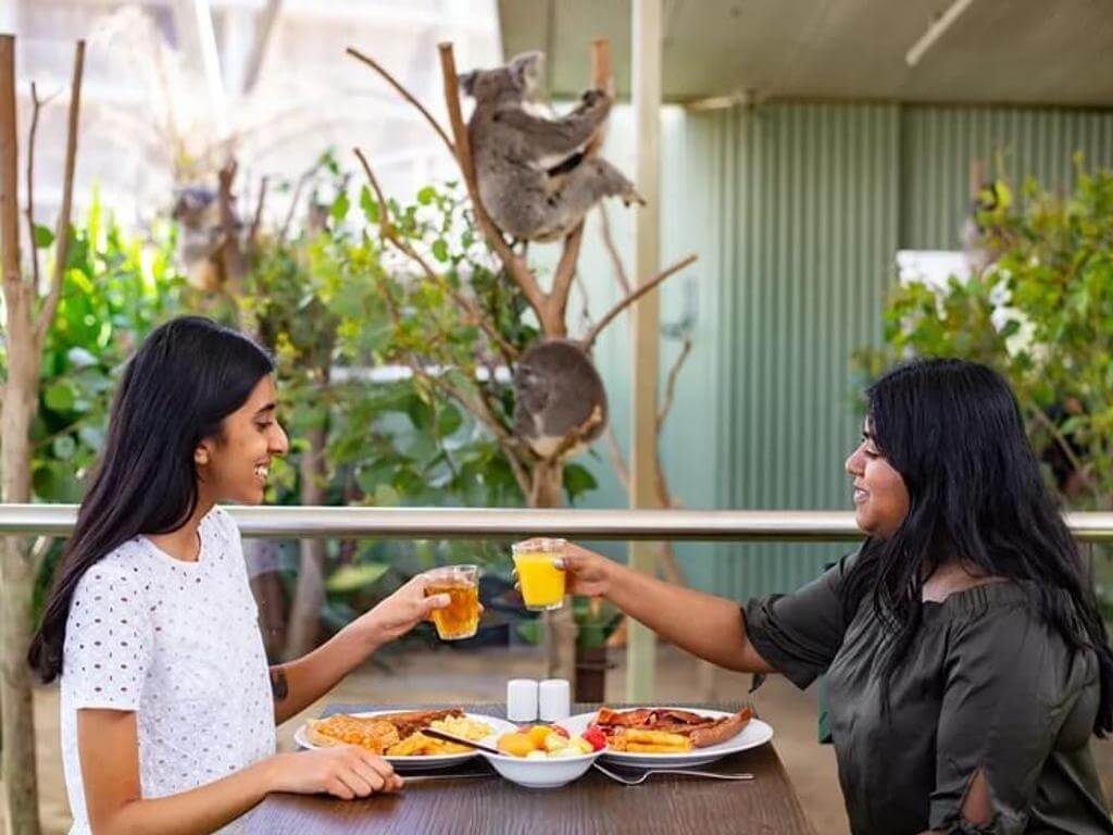 Breakfast With The Koalas 2023 | Darling Harbour