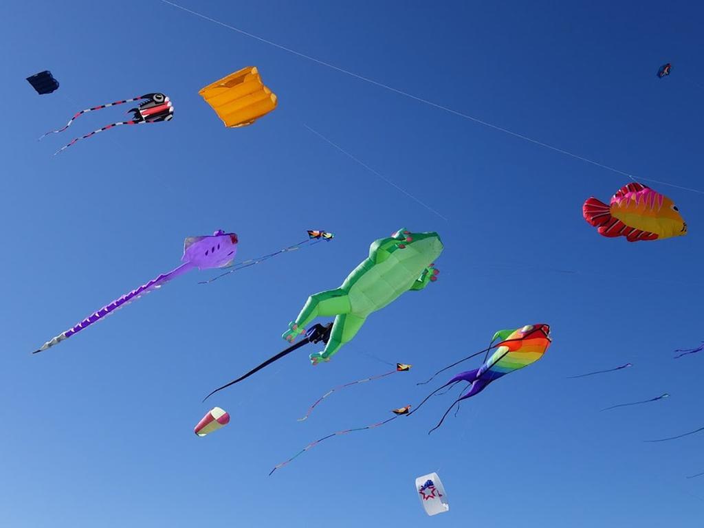 Brisbane Kite Festival 2025 | What's on in Brisbane City Brisbane Kite Festival 2025 | What's on in Brisbane City