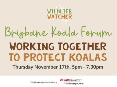 Koala conservation in action. Hear from the experts about the latest koala conservation work being done in Brisbane and Southeast Queensland.