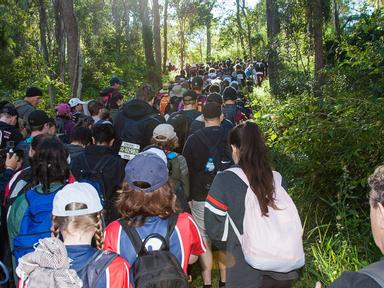 The Kokoda Challenge is back in Brisbane for another year of life-changing adventure through the beautiful D'Aguilar Nat...