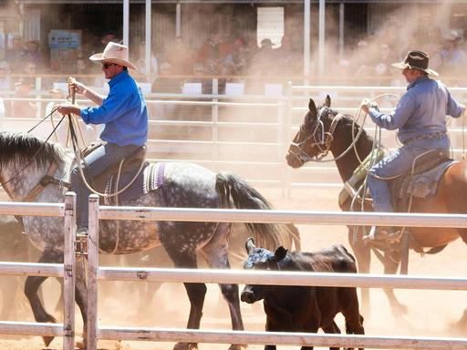 Come along for a weekend of events and enjoy the skills of both rider and horses with the Bronco Branding.   Cattle even...