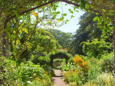 Waverley Council and the Bronte House residents welcome you to have a look around the beautiful gardens. Relax and strol...