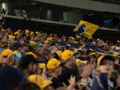 After beating three NZ teams in their last three matches, the Brumbies are on a roll and sitting second on the Super Rug...