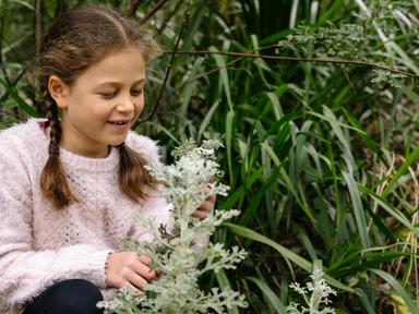 Discover the wonders of plants and create your own botanical keepsake!In this hands-on holiday program, kids will become...