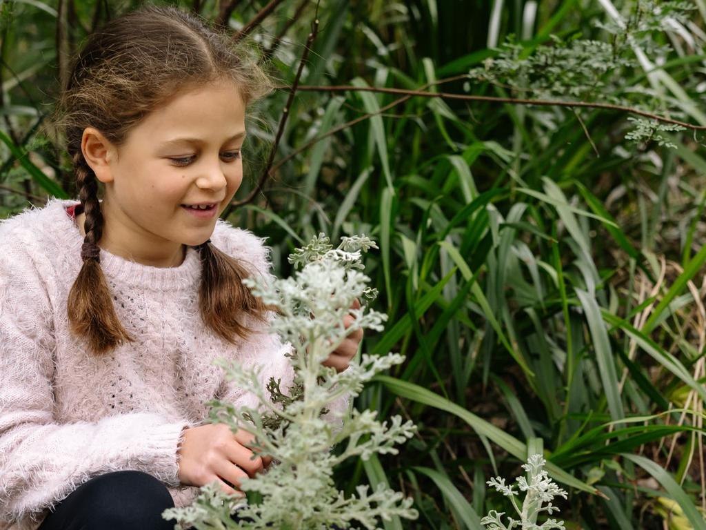 Budding Botanists at Sydney 2026 | What's on in Sydney
