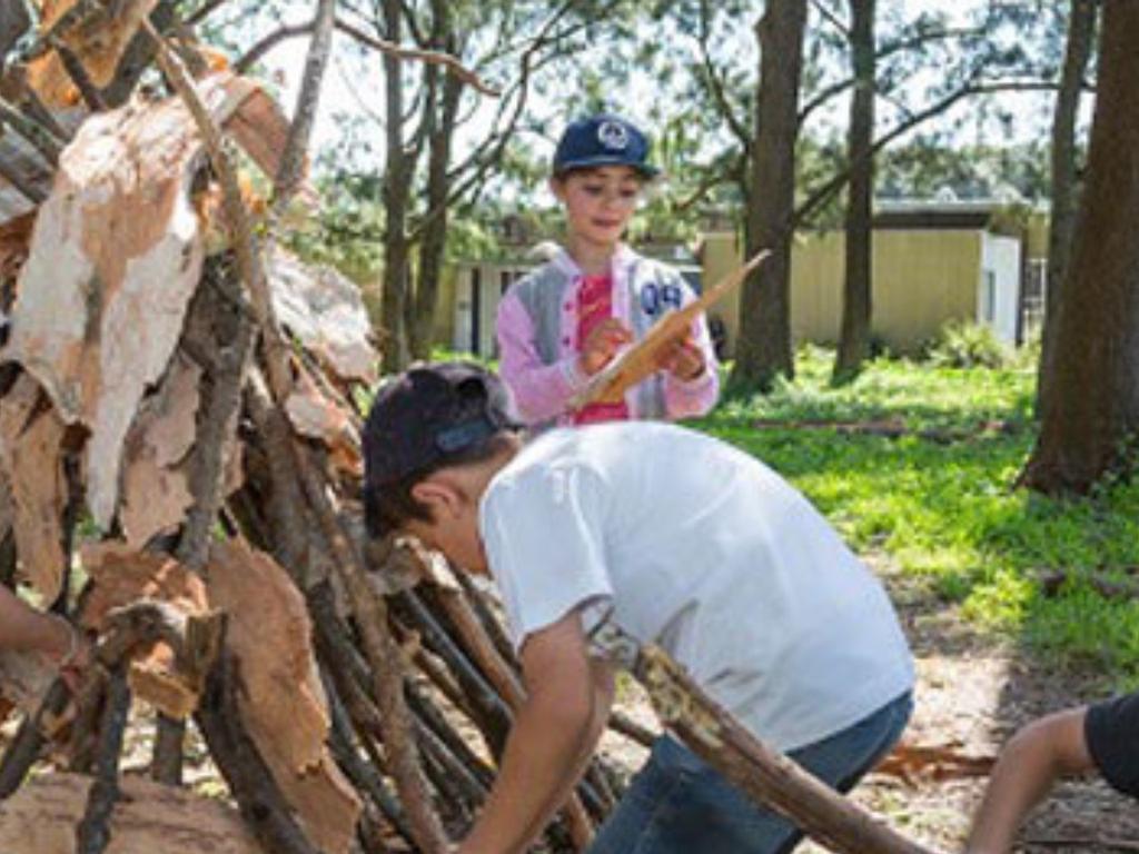 Bush rangers: Super shelters 2021 | What's on in Centennial Park