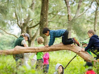 Climb trees- build cubbies- explore the great outdoors- make mud pies- and discover strange bugs.Our Bush School autumn ...