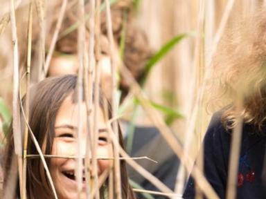 A weekly NSW nature education program that incorporates NSW curriculum elements of literacy, numeracy, geography, arts a...