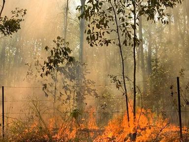 Come along to a free bushfire information session delivered by Brisbane City Council and Queensland Fire and Emergency S...