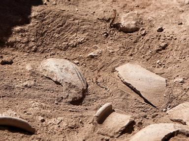 Dr Craig Barker's monthly on ABC Radio program Can you dig it? discusses the latest archaeological news and research. Jo...