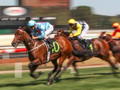 The annual two-day Canberra Racing Carnival encompasses the 50th Anniversary of the John McGrath Auto Group Black Opal S...