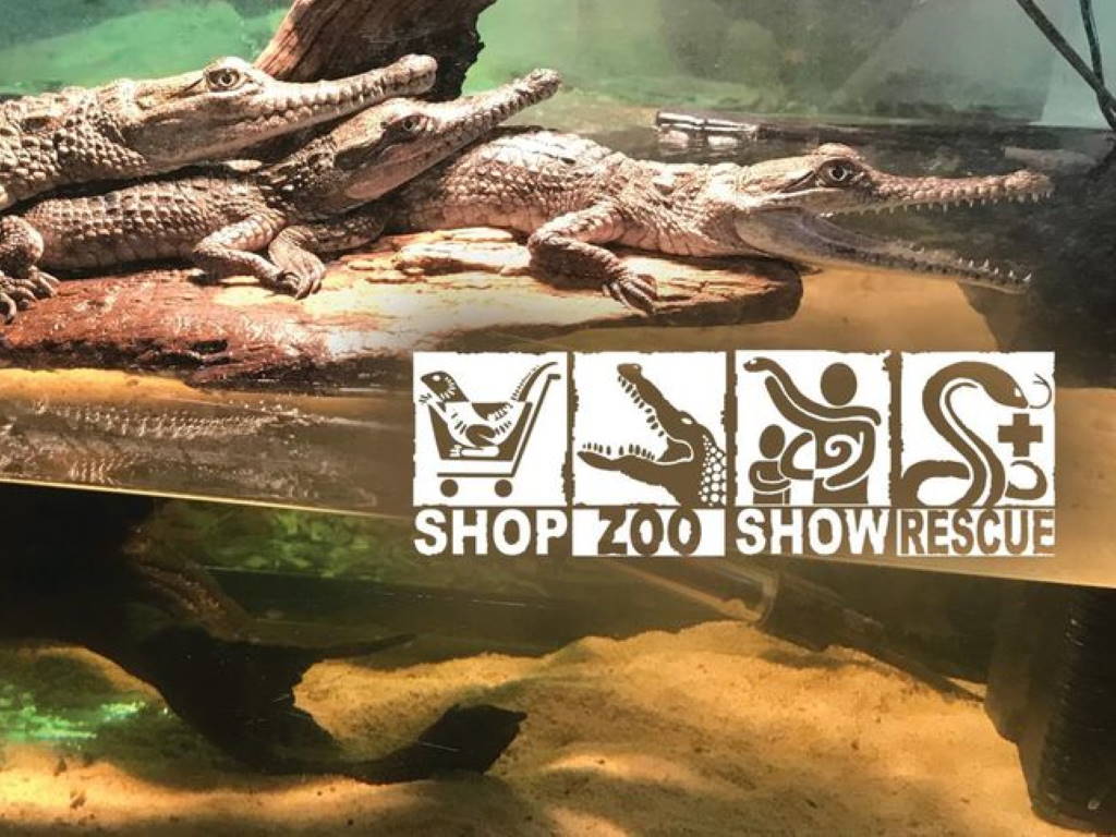 Canberra Reptile Zoo daily tours 2021 | Nicholls