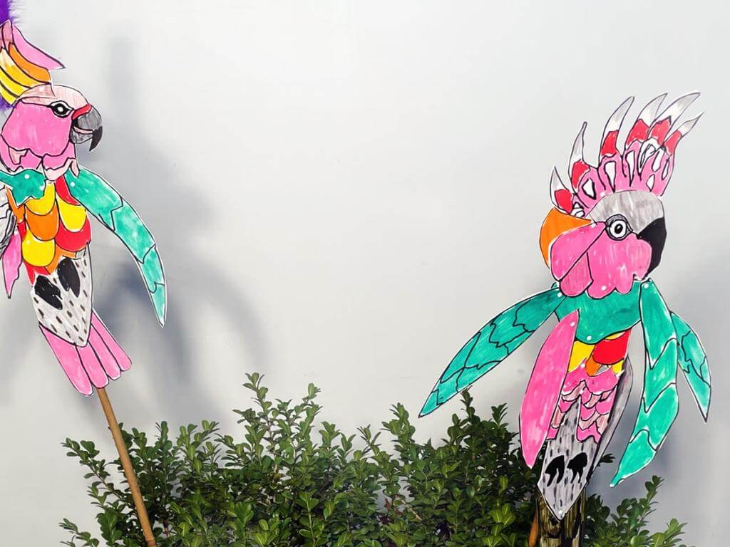 Cancelled: Colourful native bird sculptures (7-9 years) 2022 | What's on in Chippendale