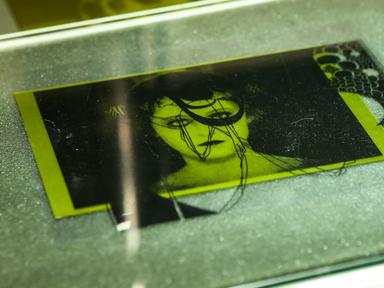 Solar plates have a light sensitive photographic emulsion which allows you to transfer original drawings into fine art p...