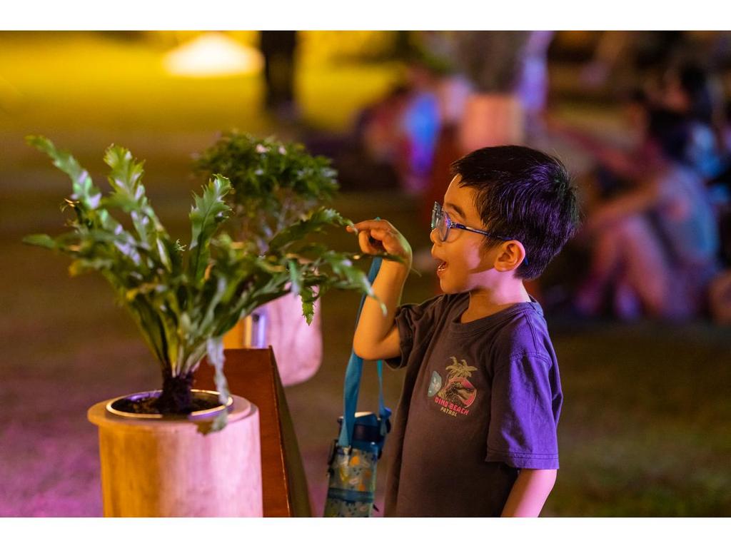 Cancelled The Plants 2025 | What's on in Chatswood Cancelled The Plants 2025 | What's on in Chatswood