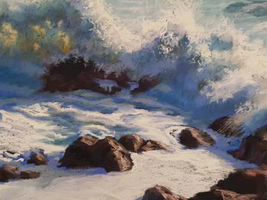 Tricia Taylor is a Master Pastellist from Queensland- Australia with 20 years of experience working with pastels. Having...