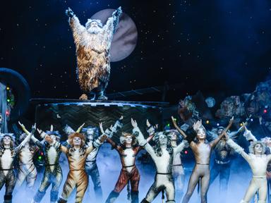 Experience the 40th Australian Anniversary of Andrew Lloyd Webber's record-breaking musical Cats.The coveted role of Gri...