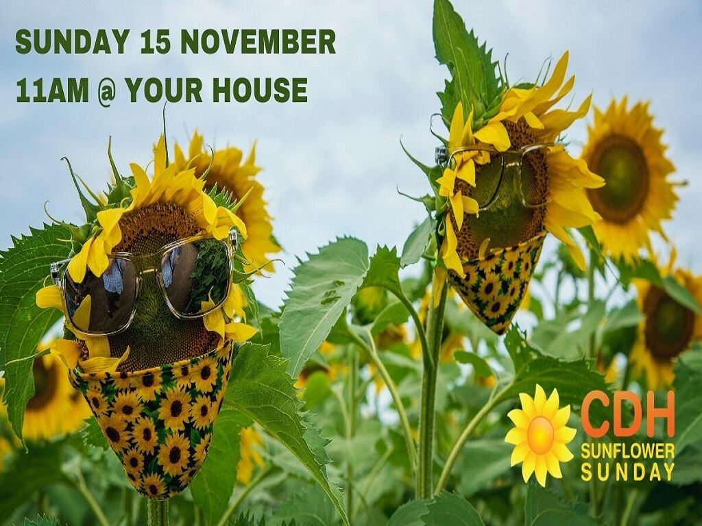 CDH Sunflower Sunday 2020 | What's on in Melbourne