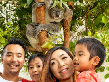 Celebrate the Year of the Horse this Lunar New Year at some of Sydney's favourite attractions - SEA LIFE Sydney Aquarium... Celebrate the Year of the Horse this Lunar New Year at some of Sydney's favourite attractions - SEA LIFE Sydney Aquarium...