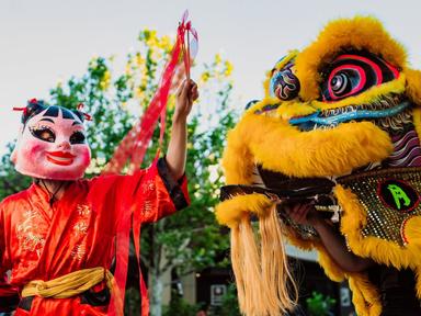 Woolley Street in Dickson will come alive with the Lunar New Year Festival in a COVID-safe kaleidoscope of colour, sound...