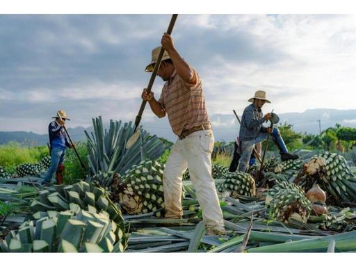 Join Chief Distiller, Antony Anderson, and celebrate Mexico's national day by learning about the agave-based spirits, te...