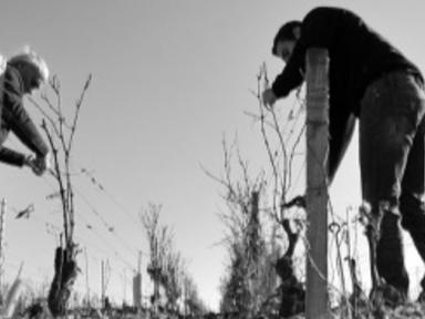 For serious Burgundy drinkers, Roland Lavantureux has become one of the most exciting modern names in Chablis because th...
