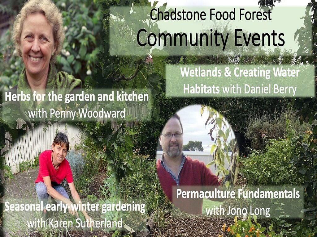 Chadstone Food Forest Community Events 2020 | Melbourne