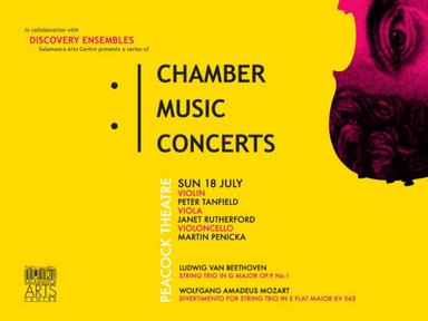 World renowned violinist Peter Tanfield has curated a series of Chamber Music Concerts to be performed in the Long Gallery