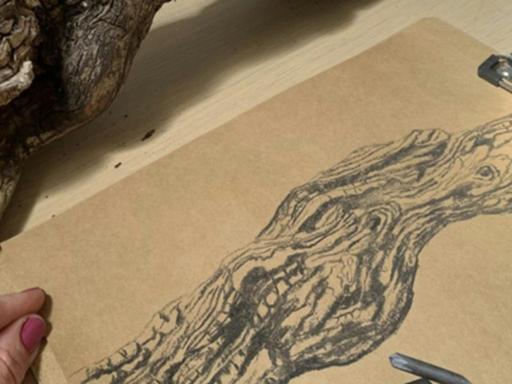 Join us for an unforgettable experience at St Hugo's exclusive life drawing workshop - Charcoal Drawing Amongst the Vine...